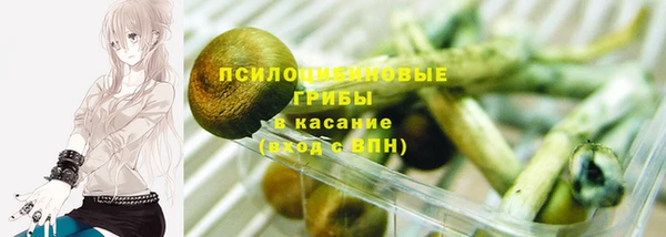 таблы Алексеевка