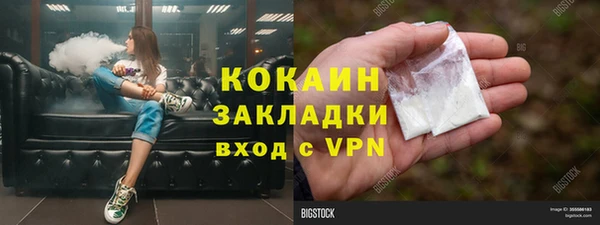дмт Алексин
