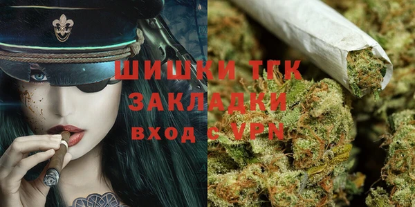 дмт Алексин