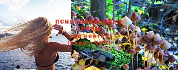 таблы Алзамай