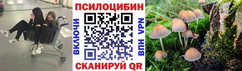 где можно купить наркотик  Нефтекумск  Галлюциногенные грибы ЛСД 