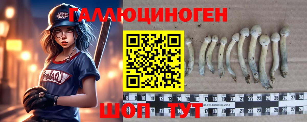 Псилоцибиновые грибы ЛСД Нефтекумск
